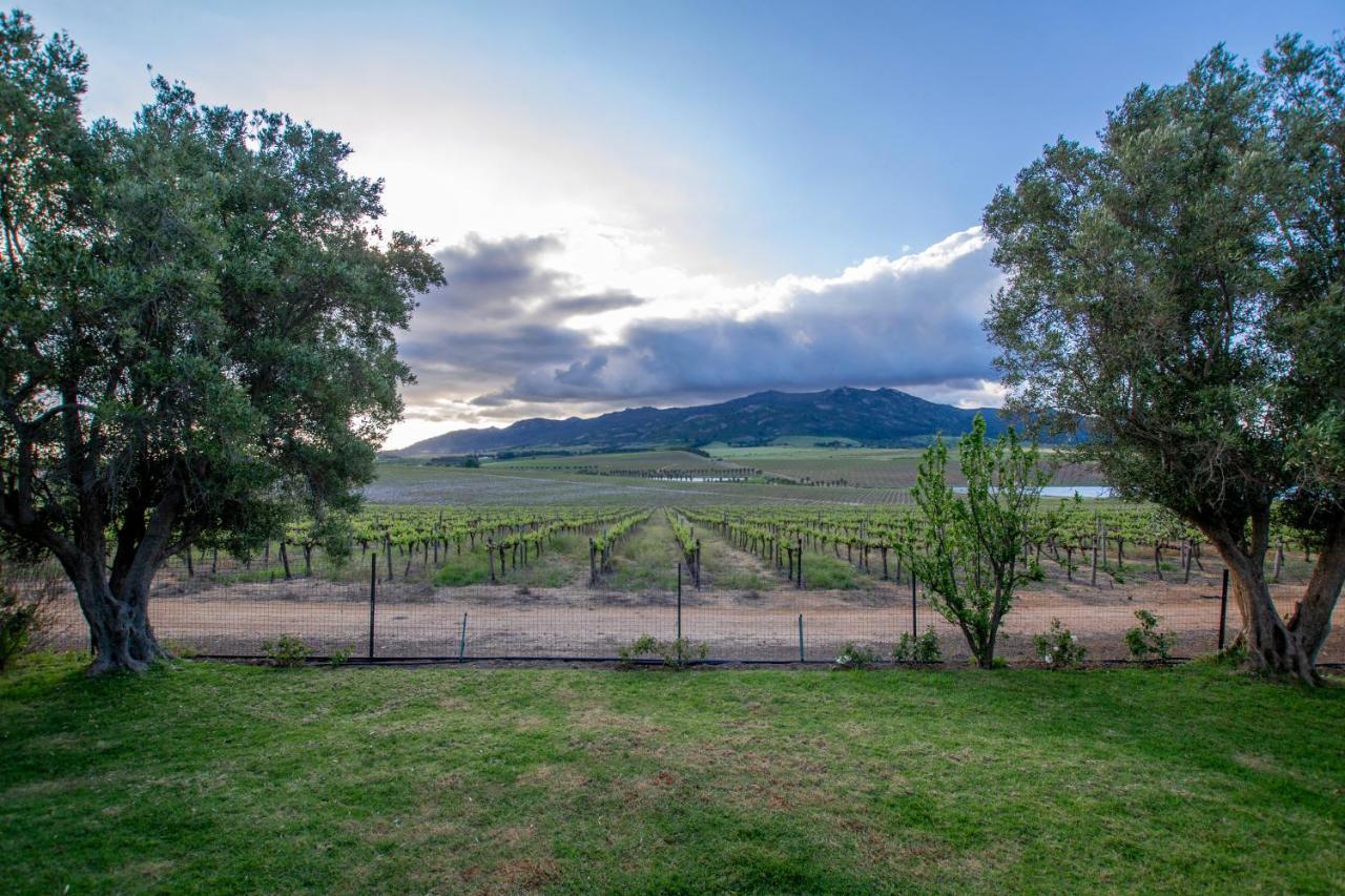 Denneboom Vineyards And Wildlife Paarl Exterior foto