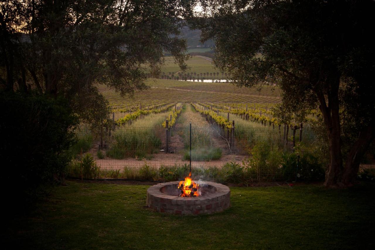 Denneboom Vineyards And Wildlife Paarl Exterior foto
